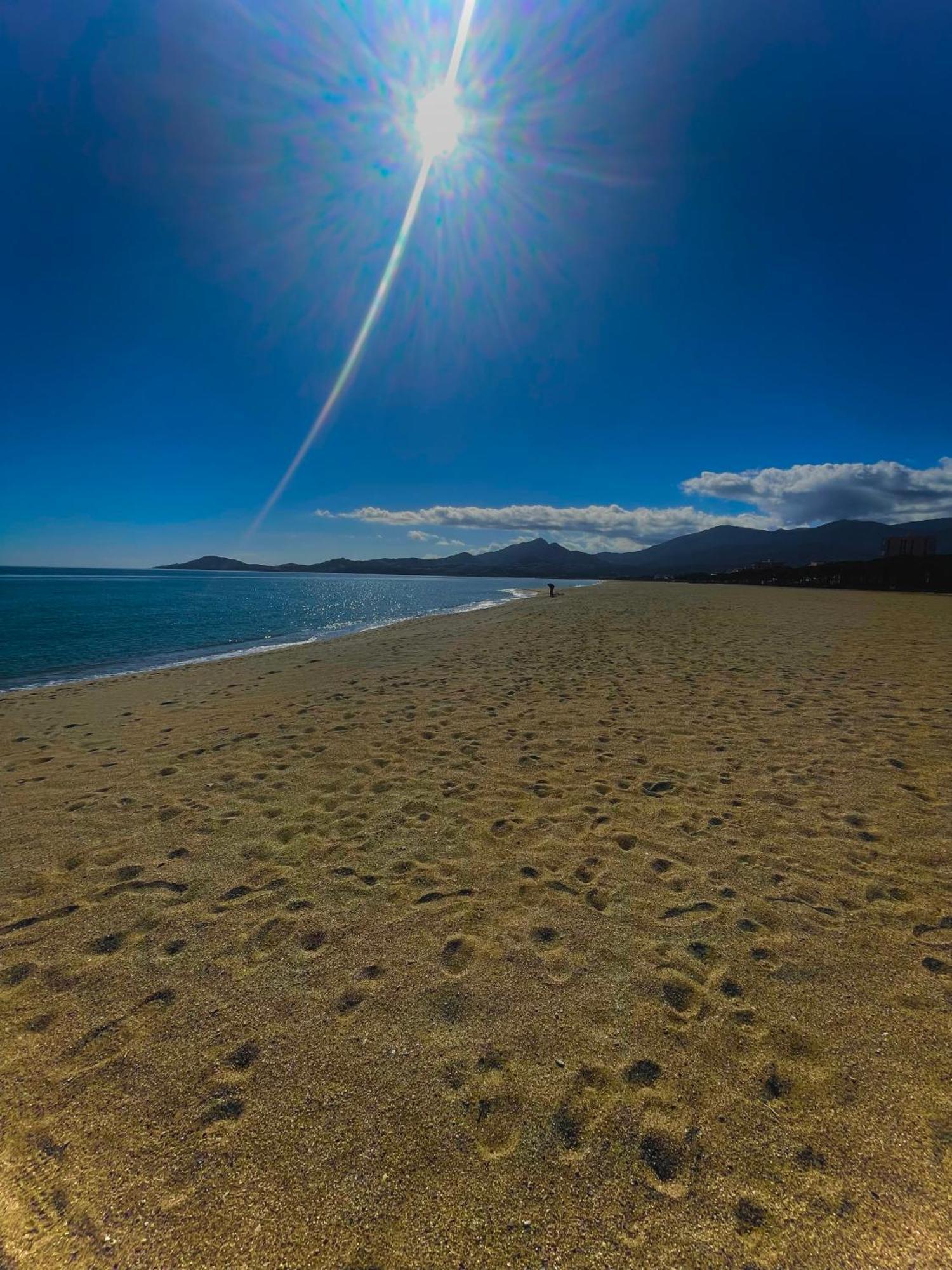 Appart WIFI, PLAGE 200 mètres Argelès-sur-Mer Esterno foto