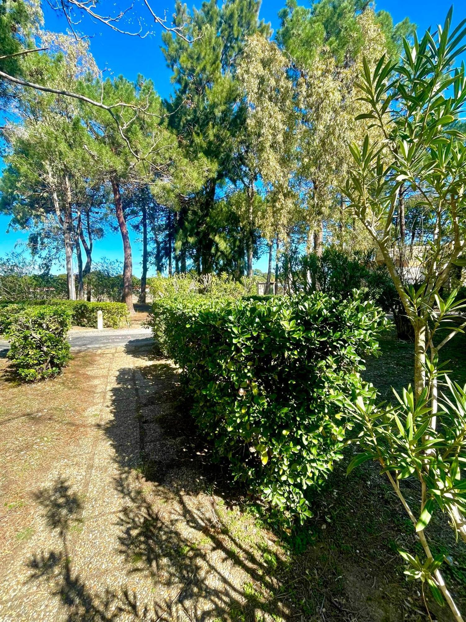 Appart WIFI, PLAGE 200 mètres Argelès-sur-Mer Esterno foto