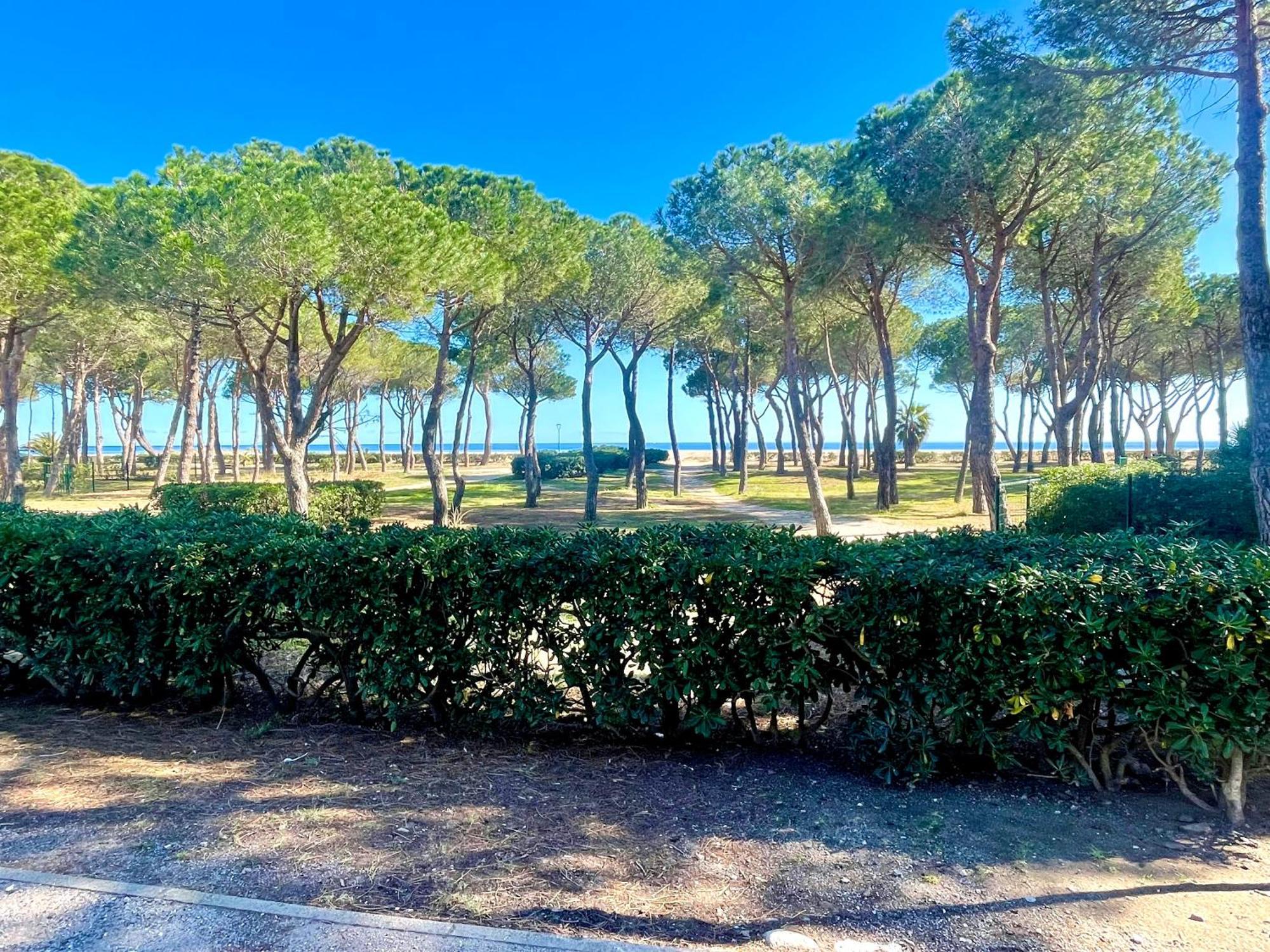 Appart WIFI, PLAGE 200 mètres Argelès-sur-Mer Esterno foto